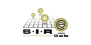 Logo Anadic SIRE, patrocinador del foro infochannel